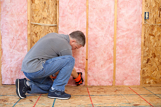 Best Types of Insulation in Landover Hills, MD